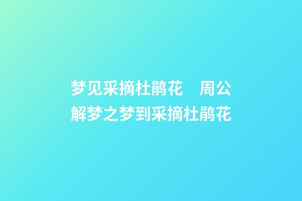 梦见采摘杜鹃花　周公解梦之梦到采摘杜鹃花